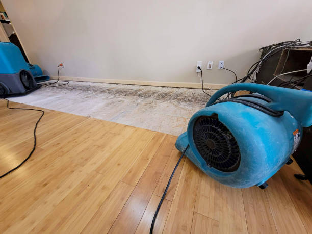 Professional Structural Drying technician working in Brimfield, MA